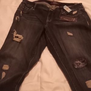 Torrid Jeans